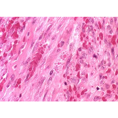 Public Health Biology icon