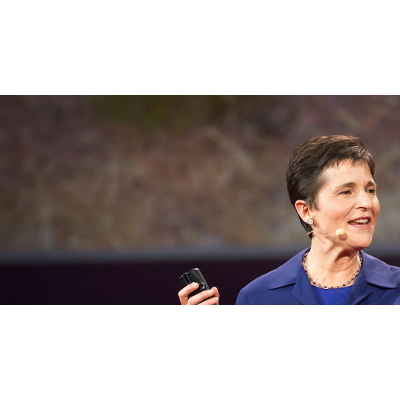 What ants teach us about the brain, cancer and the Internet icon