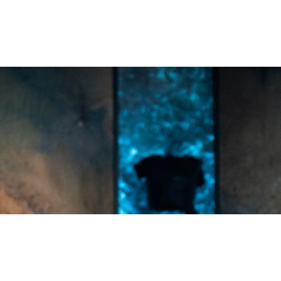 The psychological impact of child separation at the US-Mexico border icon