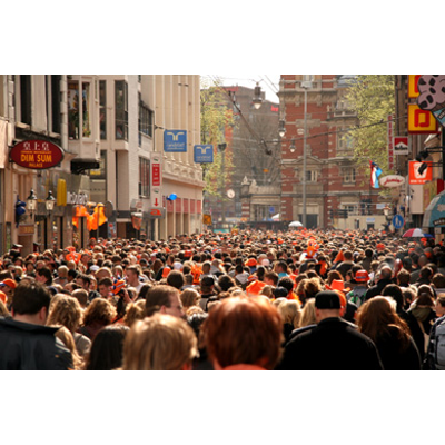 Statistical Methods for Sample Surveys icon