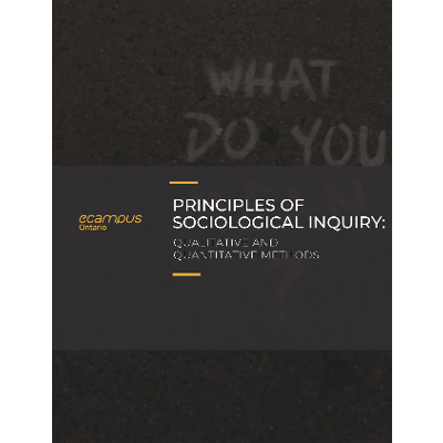 Principles of Sociological Inquiry : Qualitative and Quantitative Methods icon