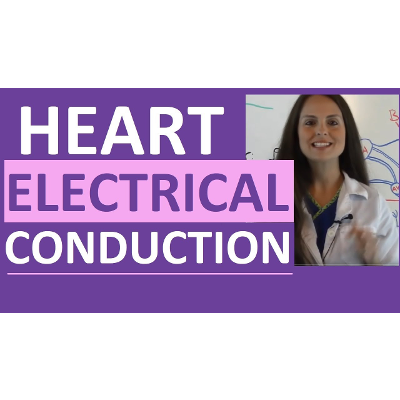 Electrical Conduction System of the Heart Cardiac | SA Node, AV Node, Bundle of His