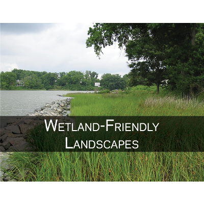 Wetlands Watch - Conservation Landscapes icon