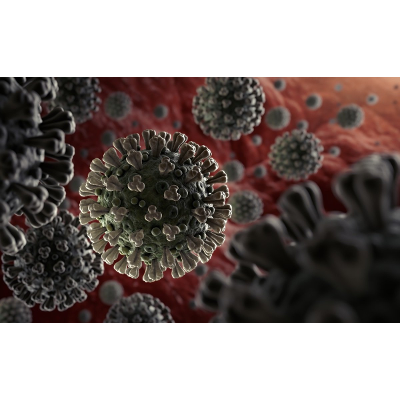 Coronavirus disease (COVID-19) – World Health Organization icon