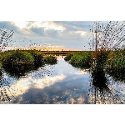 Environmental Applications of GIS (GEOG 487) icon