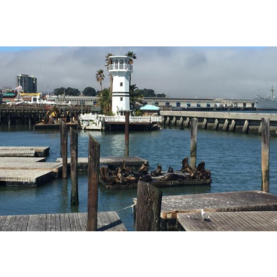 Essentials of Oceanography (EARTH 540) icon