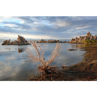 Water: Science and Society (EARTH 111) icon