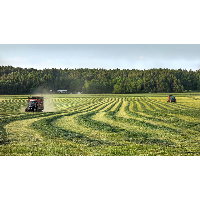 Agribusiness Management 101