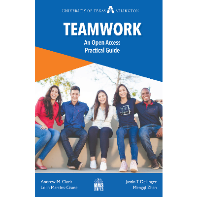 Teamwork: An Open Access Practical Guide icon