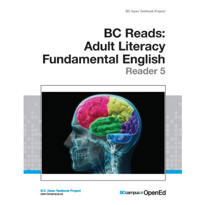Adult Literacy Fundamental English; Reader 6 icon