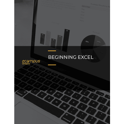 Beginning Excel