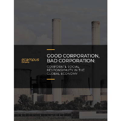 Good Corporation, Bad Corporation: Corporate Social Responsibility in the Global Economy icon