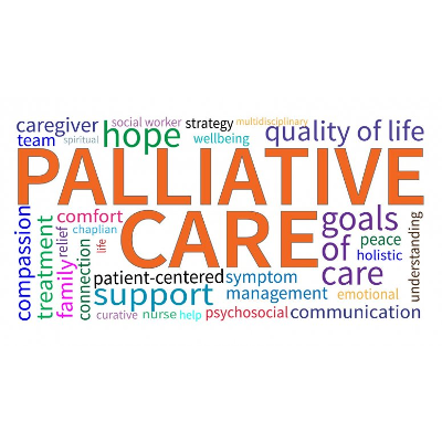 Interactive Online Continuing Education for Nurse Professionals icon