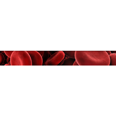 Safe Blood Transfusion Practices among Nurses in a Major Referral Center in Ghana