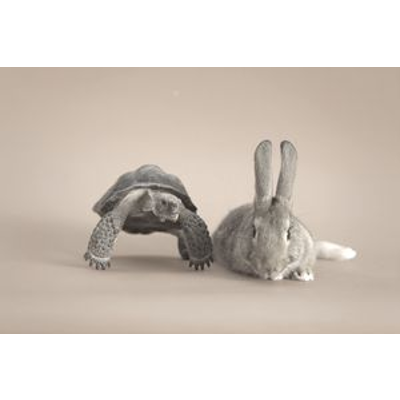 17 Tips for Investing Well icon