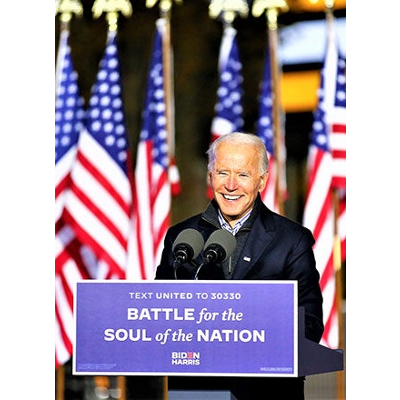 Introduction to the American Political Process icon