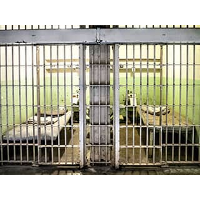 Mass Incarceration in the United States icon