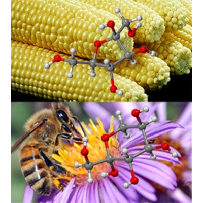 General Biochemistry