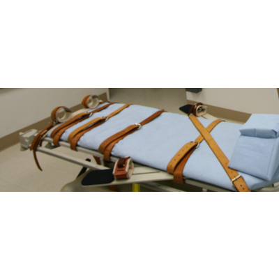 Death Penalty - Pros & Cons from the ProCon.org Website icon