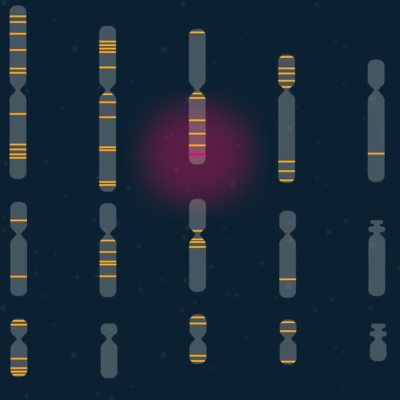 Interactive Case Study for The Search for a Mutated Gene icon