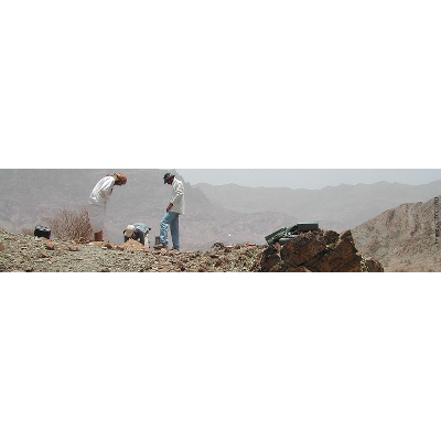 Introduction to Reflection Seismics icon