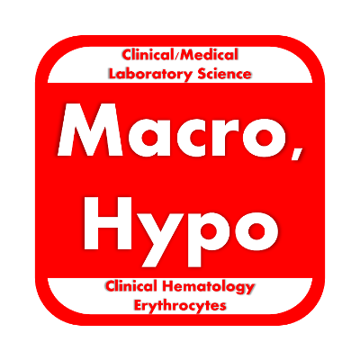 Macrocytic and Hypoproliferative Anemias icon