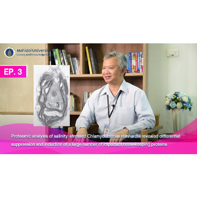 Proteomic analysis of salinity-stressed Chlamydomonas reinhardtii revealed differential suppression and induction of a large number of important housekeeping proteins icon