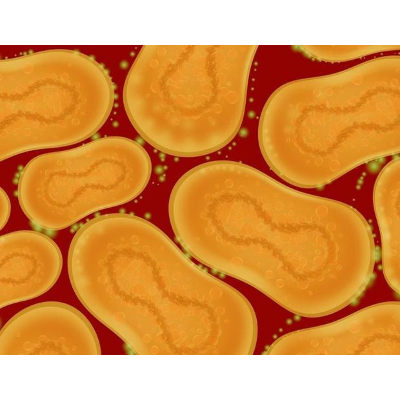 Monkeypox News, Articles and Research icon