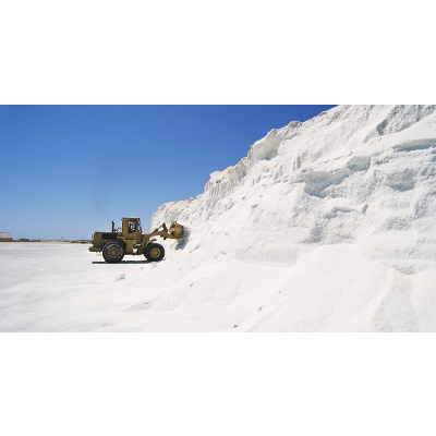 Ventures in Salt: Compass Minerals International - Case Study icon