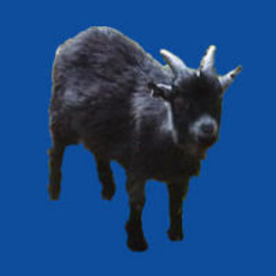 Monty Hall Game icon