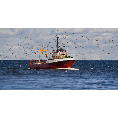 Review: Fishbanks: A Renewable Resource...