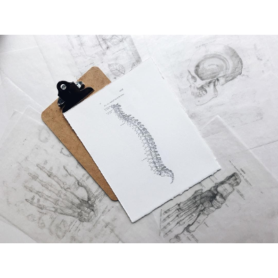 Strategies for Teaching Anatomy and Physiology - Caduceus International Publishing icon