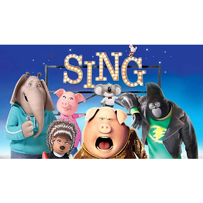 How to Watch Sing on Netflix From Anywhere? - StreamBrains icon