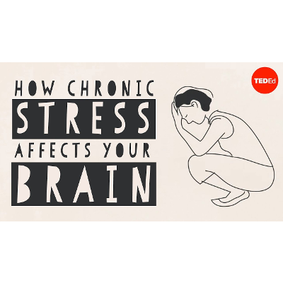 How stress affects your brain - Madhumita Murgia icon