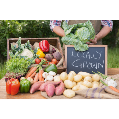 5 Ways to Teach Kids About Agriculture