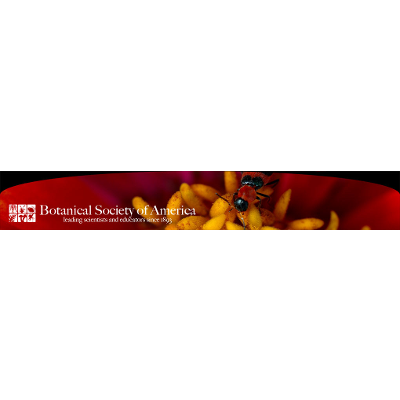 Online Teaching Resources icon