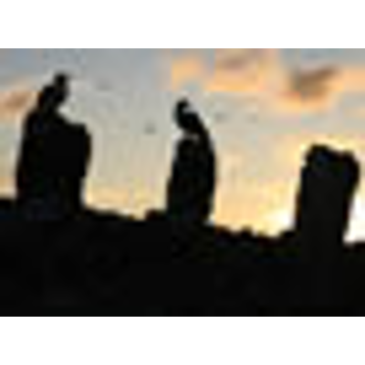 Papahānaumokuākea Marine National Monument - Cultural Heritage icon