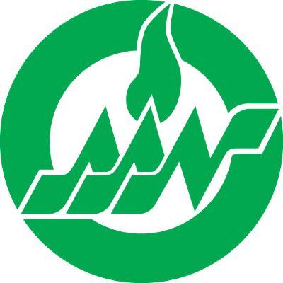 Home - American Academy of Nursing Main Site icon