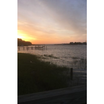 The Ecosphere and Environmental Issues icon