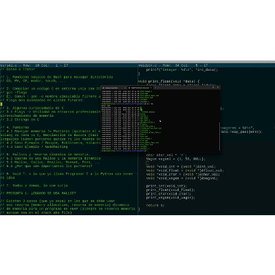 El Universo está Hecho de C #1 - Punteros y Control de Memoria, Usos Profesionales icon