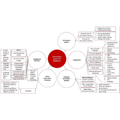 Information Systems &amp; Databases Unit Overview icon