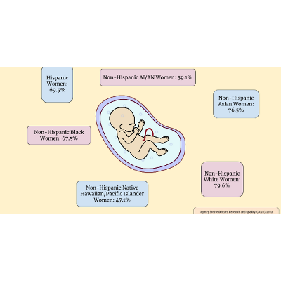 Prenatal Care/Race Infographic icon