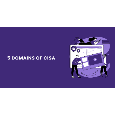 5 Domains of CISA icon
