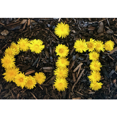 Compassionate Integrity Training Participant Manual icon