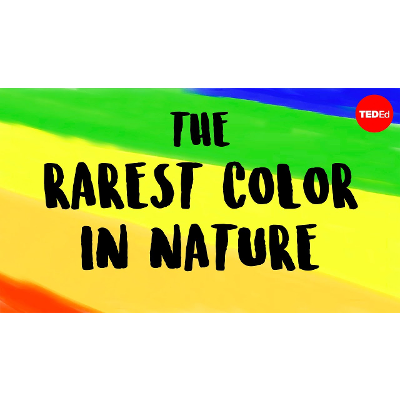 What is the rarest color in nature?