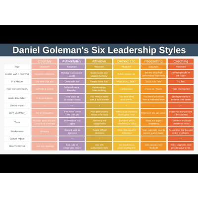 The Six Leadership Styles by Daniel Goleman icon