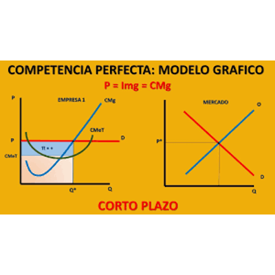 Vídeo Clase Teórica icon