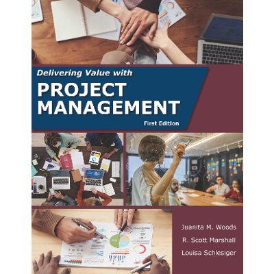 Delivering Value with Project Management icon