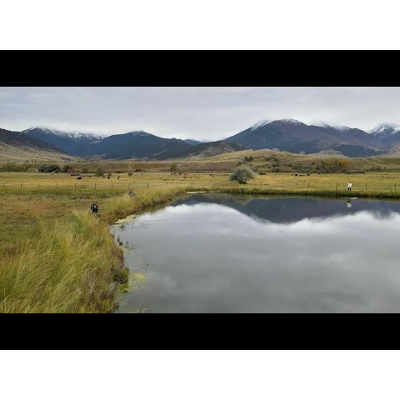 Fly Fishing program in Bozeman helps veterans with PTSD icon