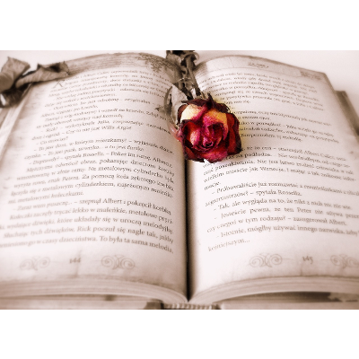 Narrative Techniques of Literary Movements icon